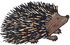 Igel.jpg